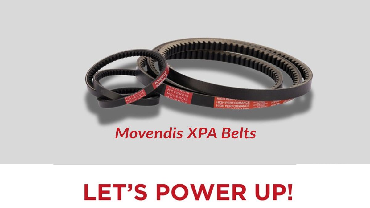 Movendis Sets New Standard in Belt Length Precision — XPA Series Outperforms ISO 4184